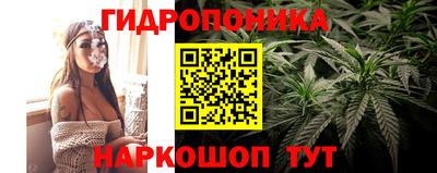 дживик Гусев