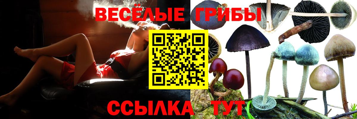 Псилоцибиновые грибы ЛСД  Вход с VPN  наркошоп  Ульяновск 